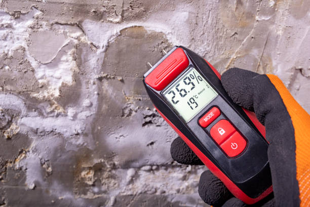 Best Mold Damage Repair  in Fayette, MO