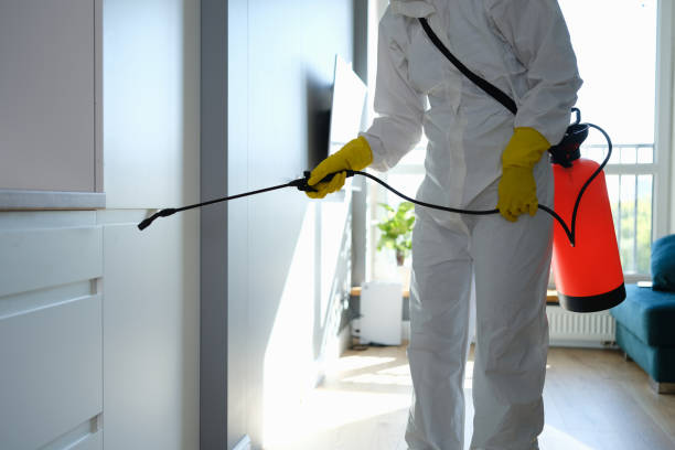 Best Mold Cleaning Services  in Fayette, MO
