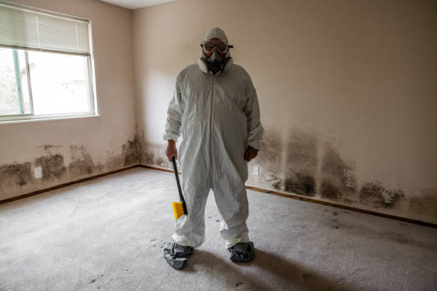 Best Mold Remediation  in Fayette, MO