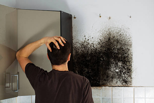 Crawl Space Mold Removal in Fayette, MO